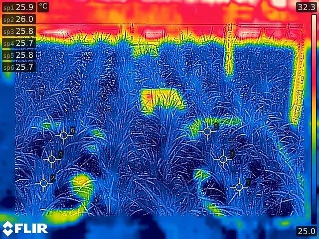 案例分析：FLIR AX8红外热像仪实时监控收集温度数据，助力农业自动化！